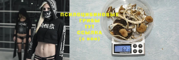 a pvp Баксан