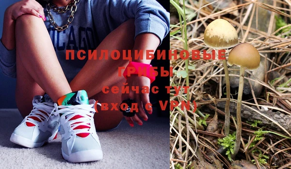 мяу мяу мука Балабаново