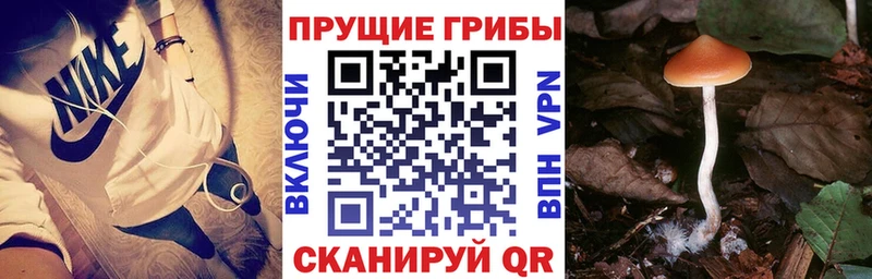 Галлюциногенные грибы мицелий  kraken ТОР  дарк нет какой сайт  закладки  Горнозаводск 